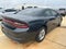 2019 Dodge Charger SXT RWD