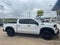 2025 Chevrolet Silverado 1500 Crew Cab Short Box 4-Wheel Drive LT Trail Boss