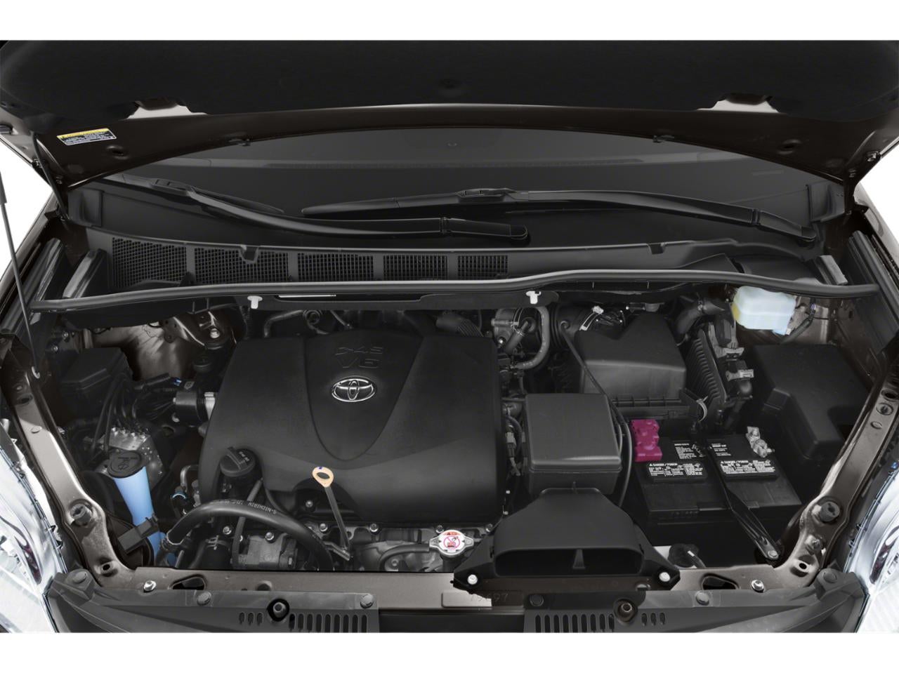 2019 Toyota Sienna XLE FWD 8-Passenger (Natl)