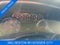 2018 Chevrolet Silverado 1500 Crew Cab Short Box 2-Wheel Drive LT