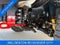 2019 Toyota Tundra 4WD 4WD SR5 CrewMax 5.5' Bed 5.7L FFV (SE)