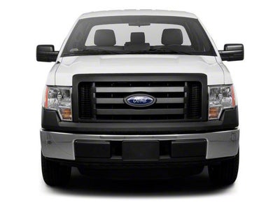 2010 Ford F-150 2WD Regular Cab 6-1/2 Ft Box XL