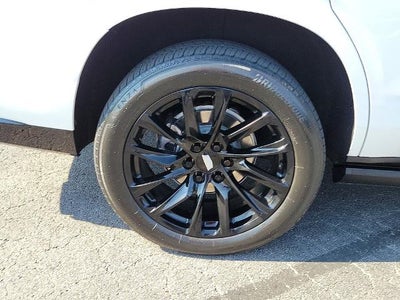 2023 Cadillac Escalade RWD Sport Platinum