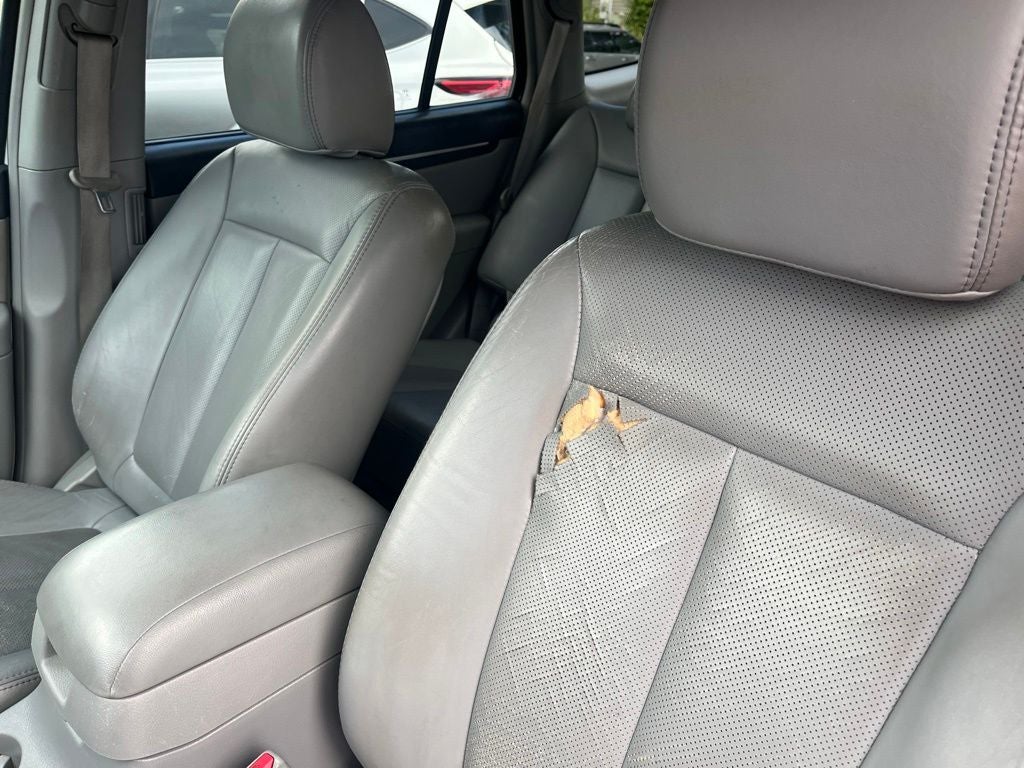 2007 Hyundai Santa Fe SE